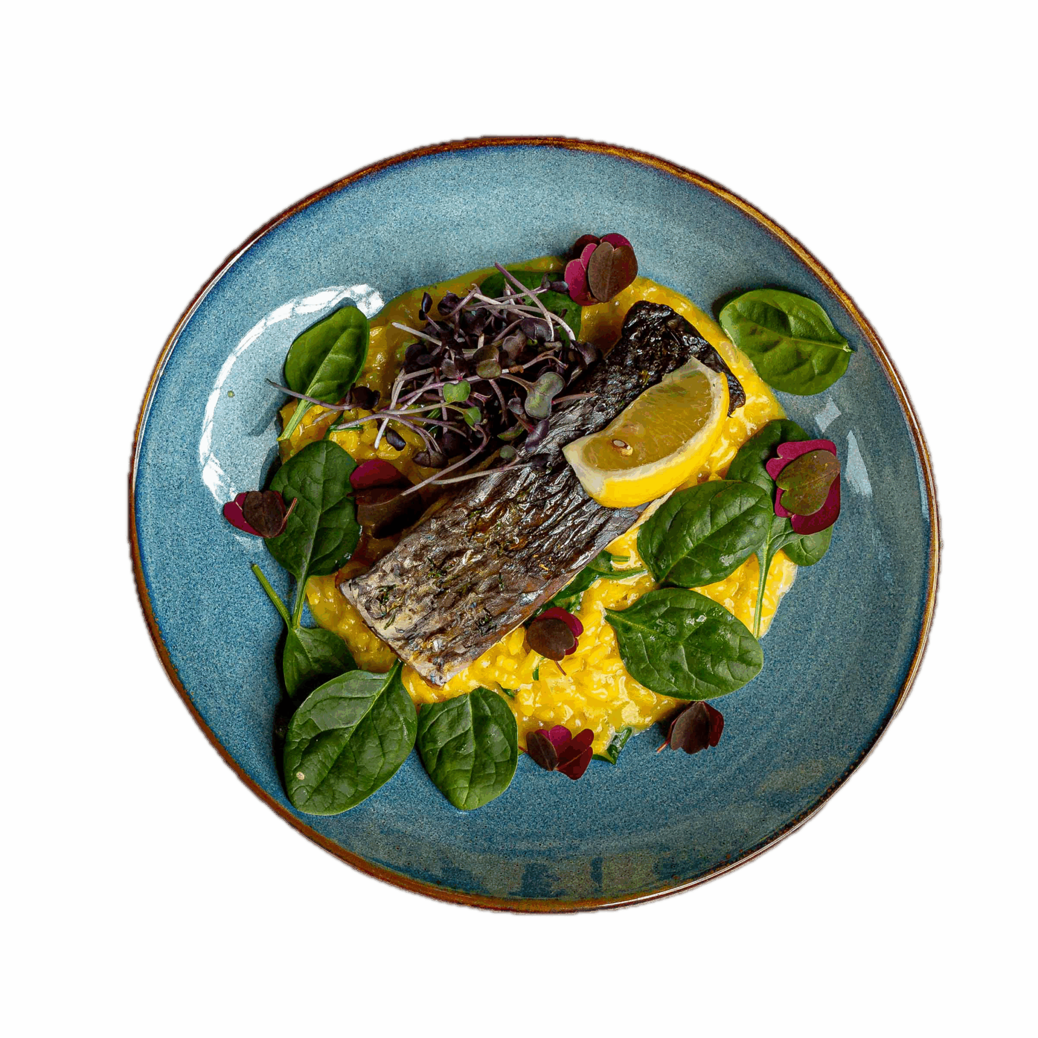 Tło usunięte (Z góry-15)